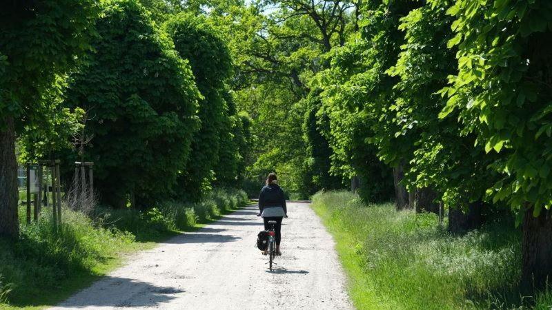 Agriturismo La Magione Quercegrossa Eksteriør bilde